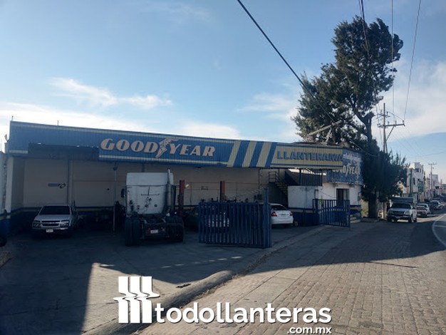 Goodyear Actopan