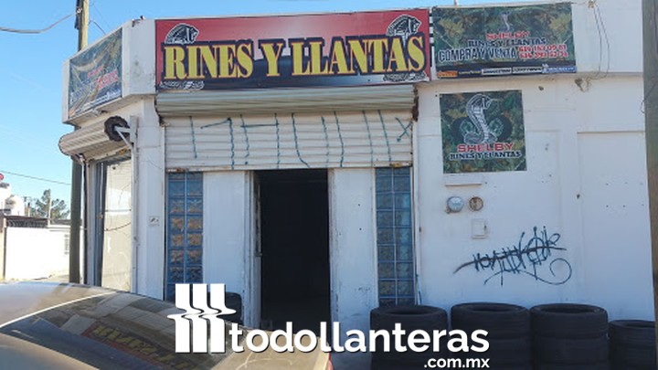 Rines y llantas shelby's