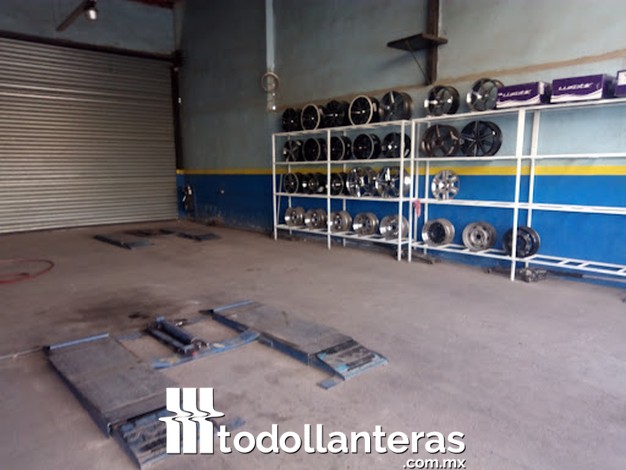 Toño Tires