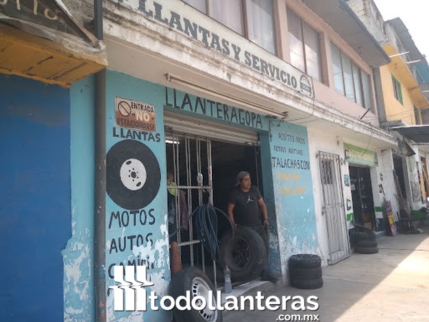 Llantera gopa