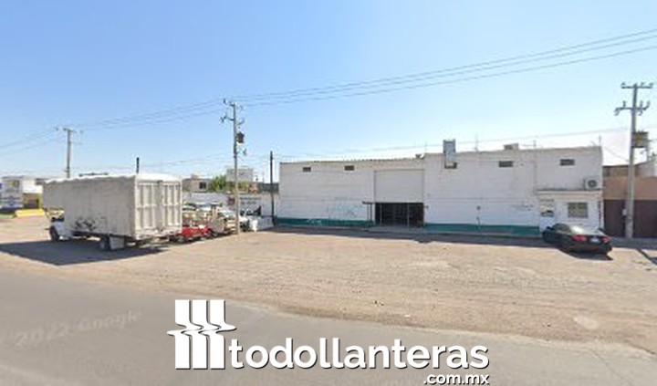 Llantas y secciones CARNERO