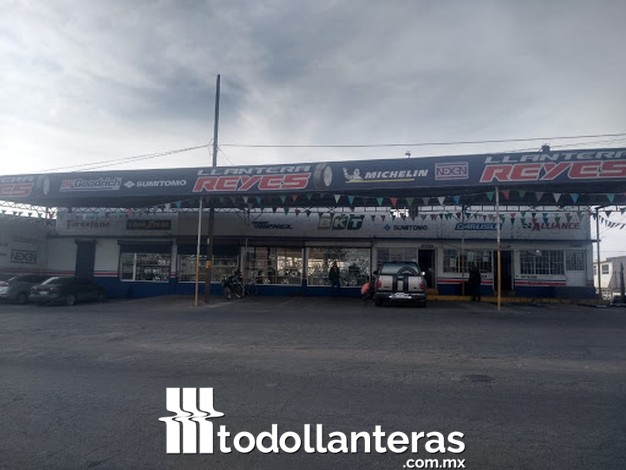 Llantera Reyes 33038 AV, Paseo Tecnologico #2