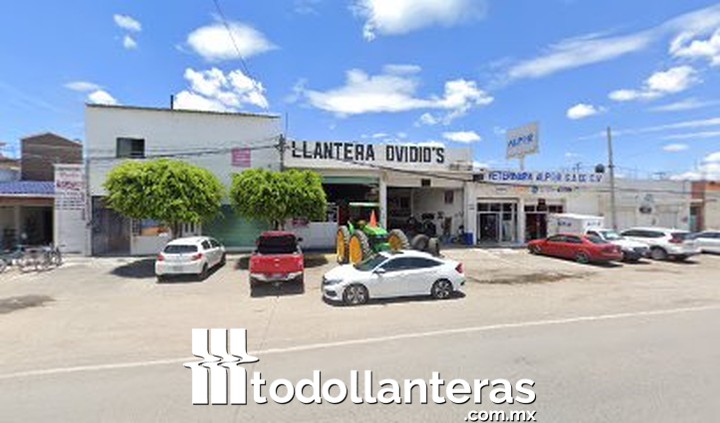 Llantera Ovidio’s