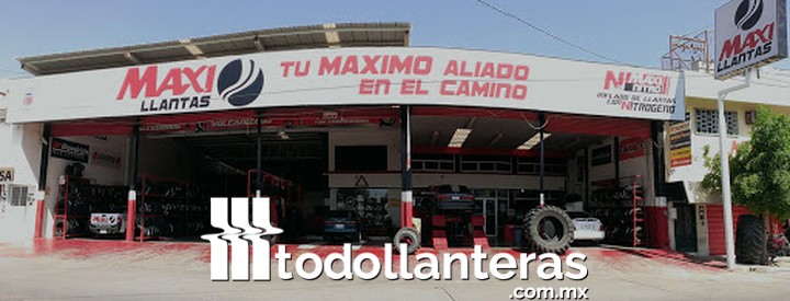 Maxillantas de Guamúchil