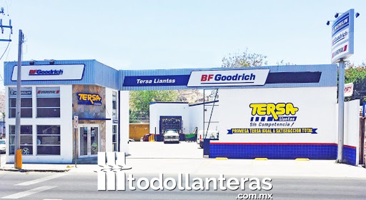 TERSA Llantas Encinas