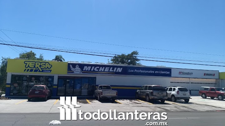 TERSA Llantas San Benito