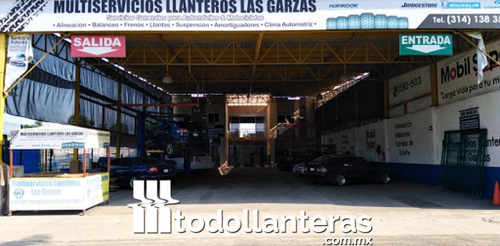 Multiservicios llanteros las garzas