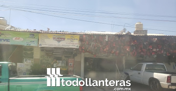 AUTOPARTES ¨SALAS¨