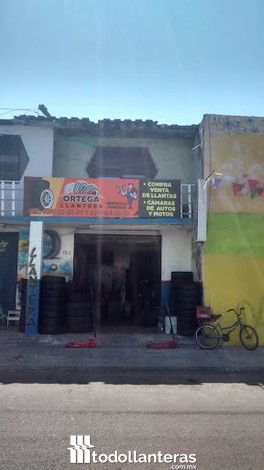 ORTEGA LLANTERA
