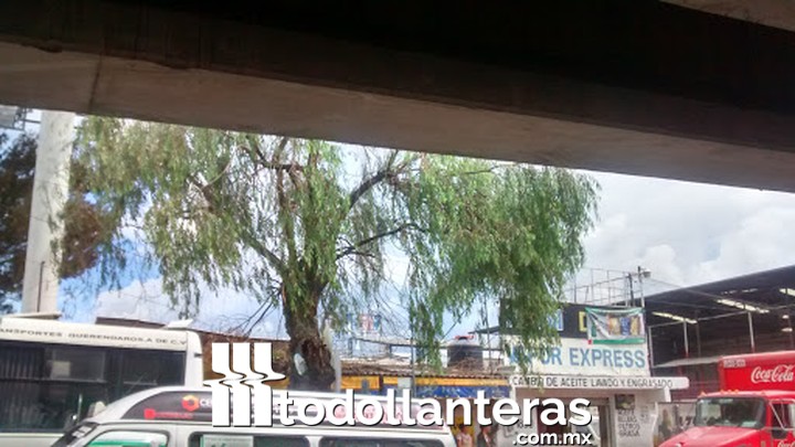 Vitalizadora del Centro