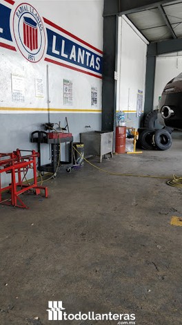 RADIAL LLANTAS Industrial
