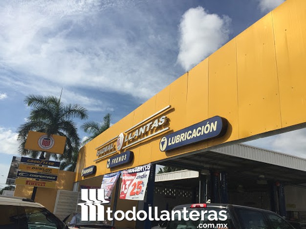 RADIAL LLANTAS Monte Albán