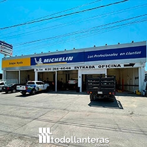 MICHELIN GRUPO AYALA