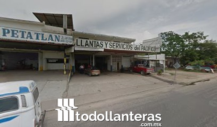 Llantera del pacífico