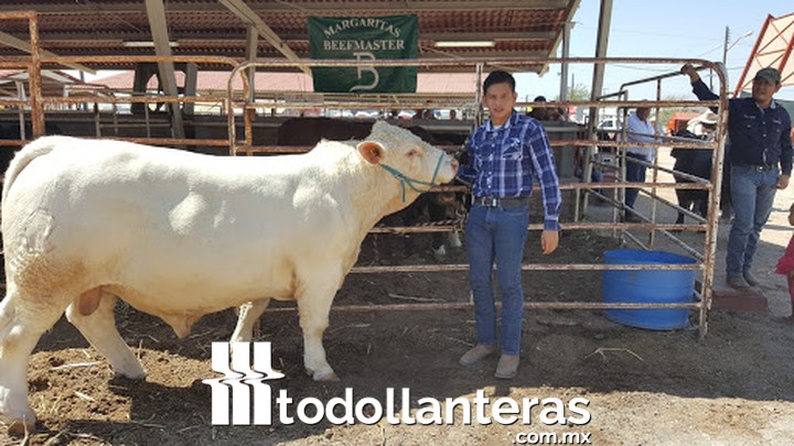 Neumaticos y Accesorios industriales S.A. de C.V. NACCISA