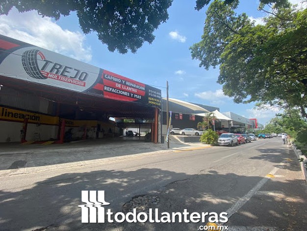 Trejo Multiservicios
