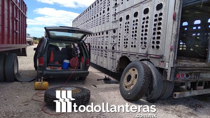 Llantera Martín